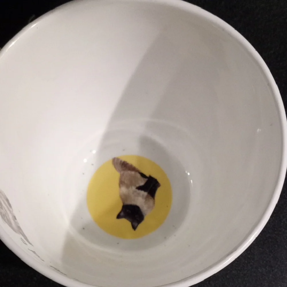 Cat China Cup with Charming Illustrations